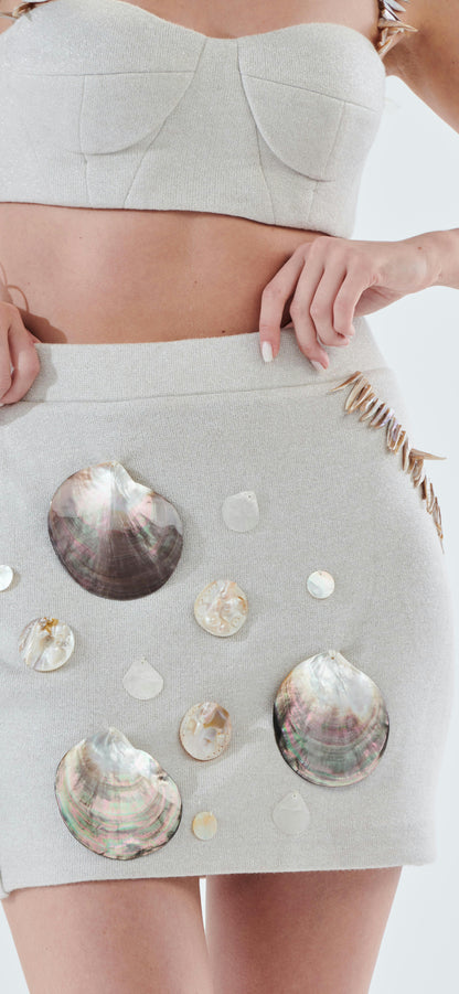 The Seashell set