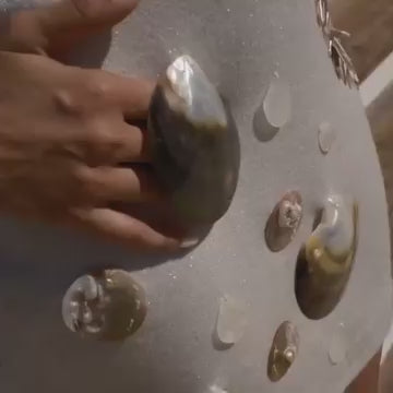 The Seashell set